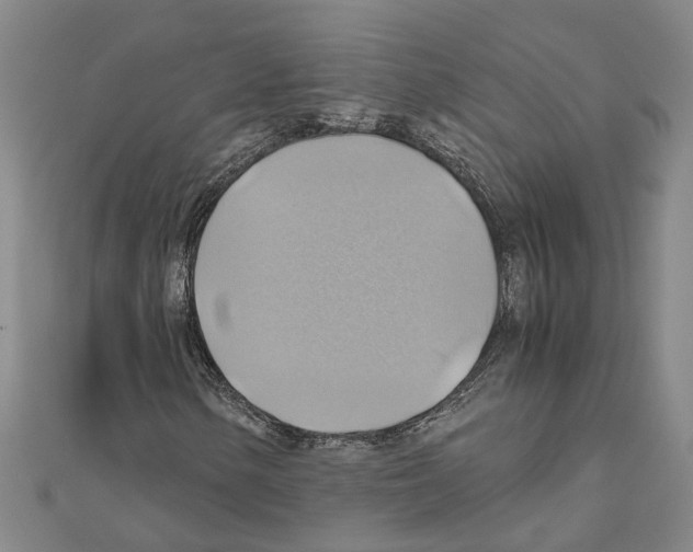 X0000111031154200908061429