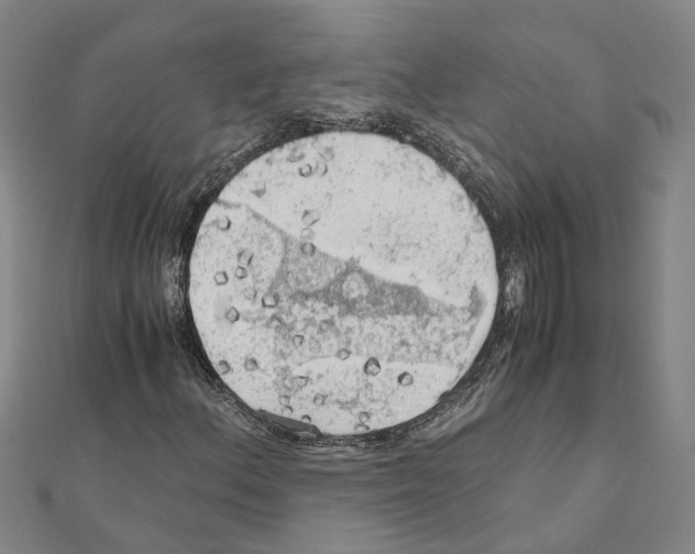X0000111031156200908061429