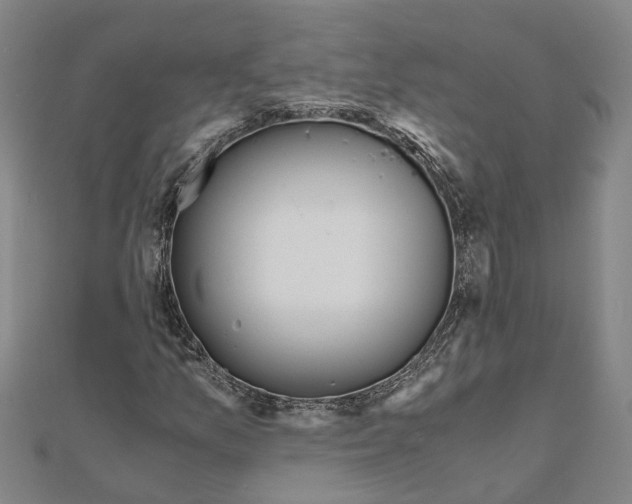 X0000111031157200908061429