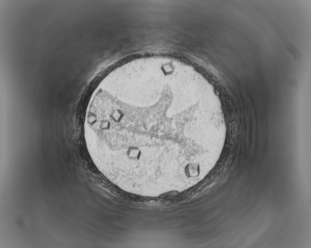 X0000111031160200908061429