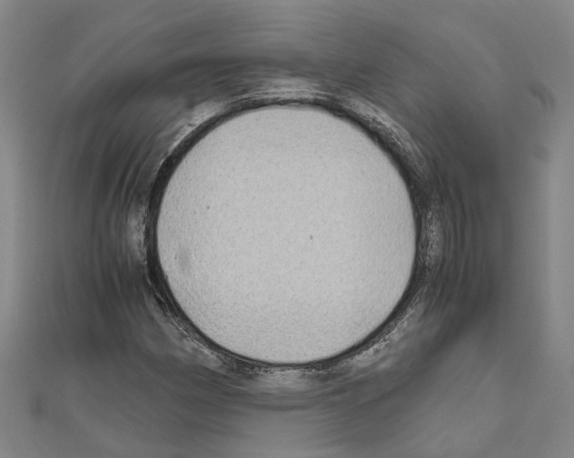 X0000111031162200908061429
