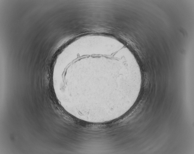 X0000111031163200908061429
