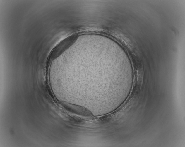 X0000111031165200908061429