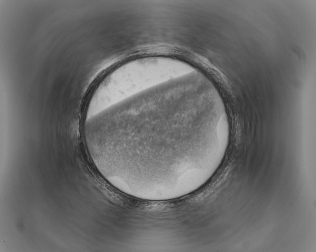 X0000111031166200908061429