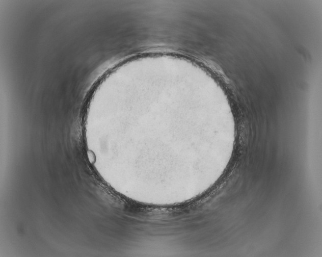 X0000111031167200908061429