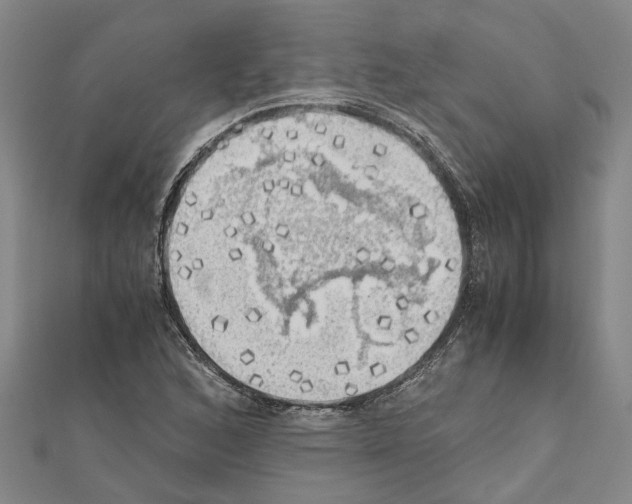 X0000111031168200908061429