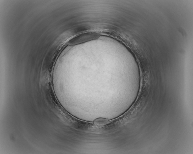 X0000111031169200908061429