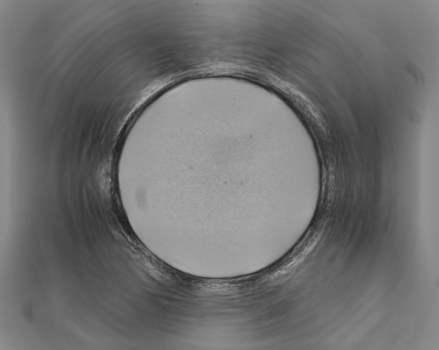 X0000111031170200908061429