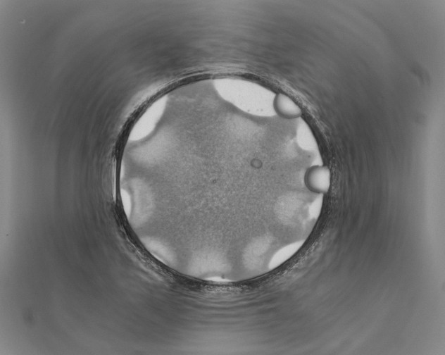 X0000111031171200908061429