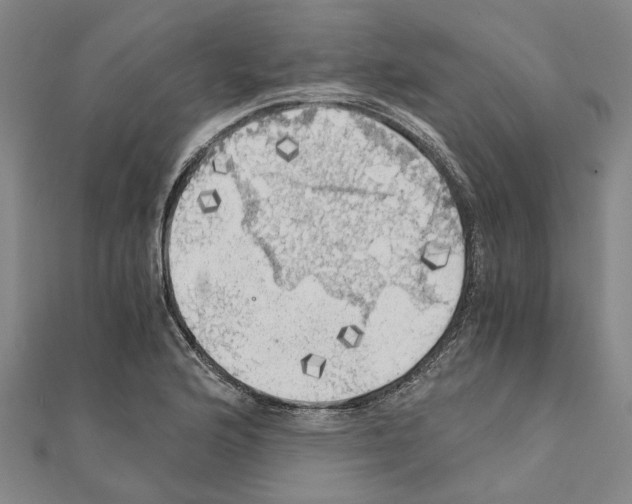 X0000111031176200908061429