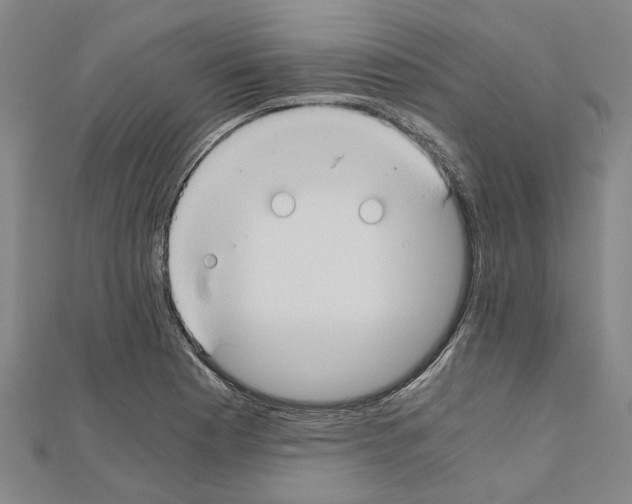 X0000111031177200908061429