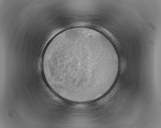 X0000111031178200908061429