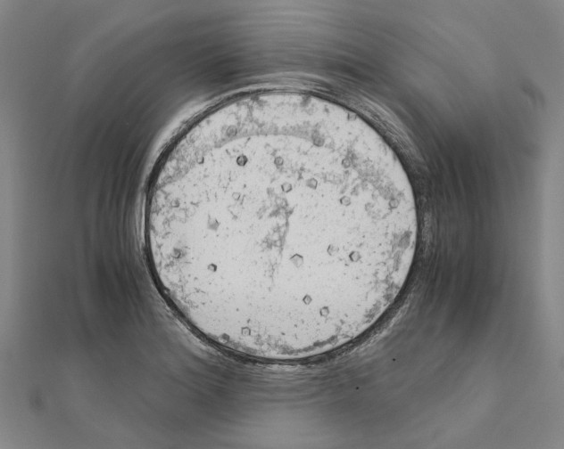 X0000111031180200908061429