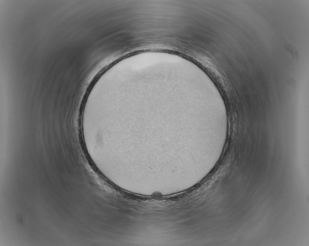 X0000111031181200908061429