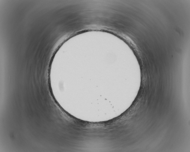 X0000111031183200908061429