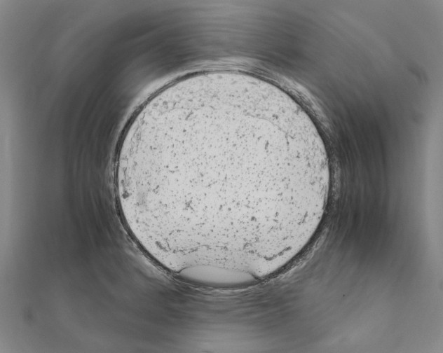 X0000111031184200908061429