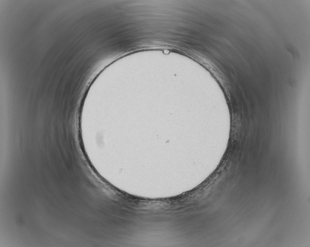 X0000111031187200908061429