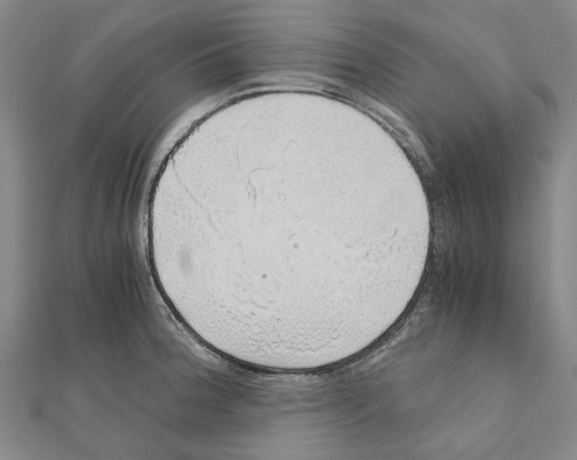 X0000111031188200908061429