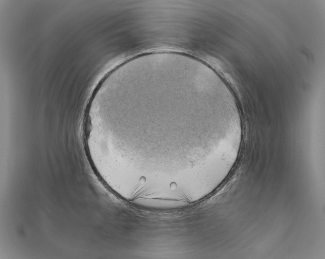 X0000111031189200908061429