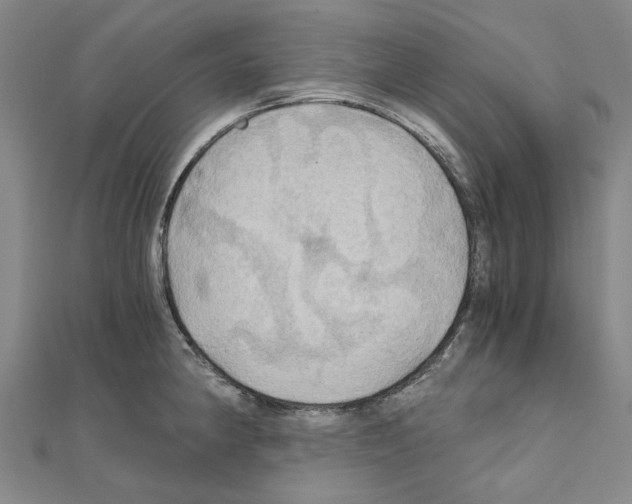 X0000111031190200908061429