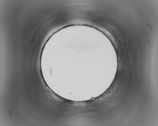 X0000111031191200908061429