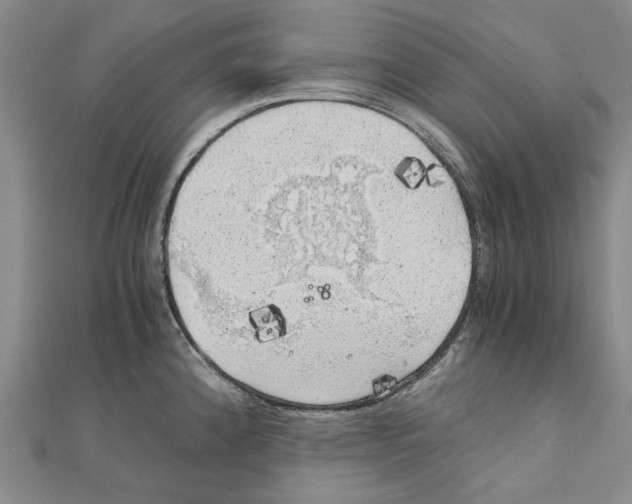 X0000111031192200908061429
