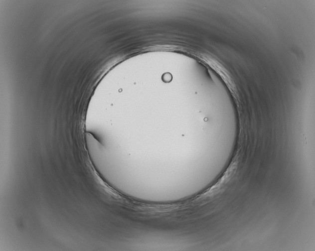X0000111031193200908061429