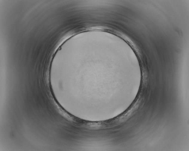 X0000111031194200908061429