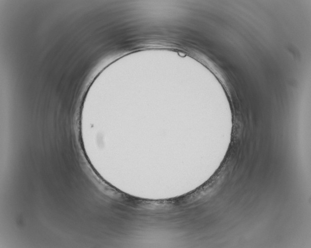 X0000111031195200908061429