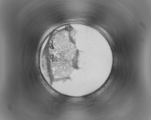 X0000111031196200908061429