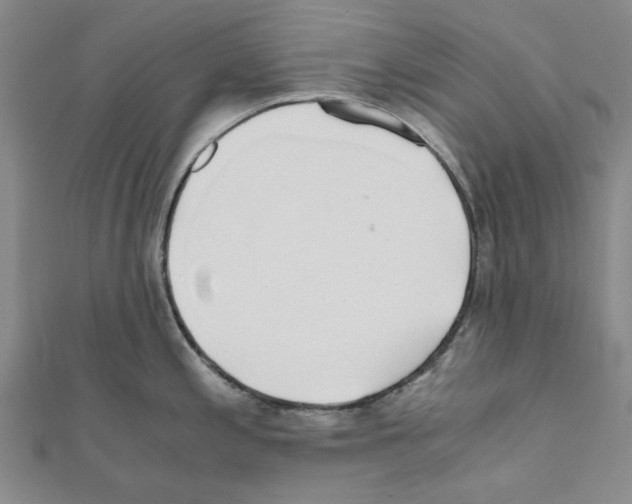 X0000111031197200908061429
