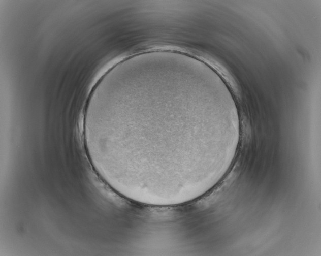 X0000111031198200908061429