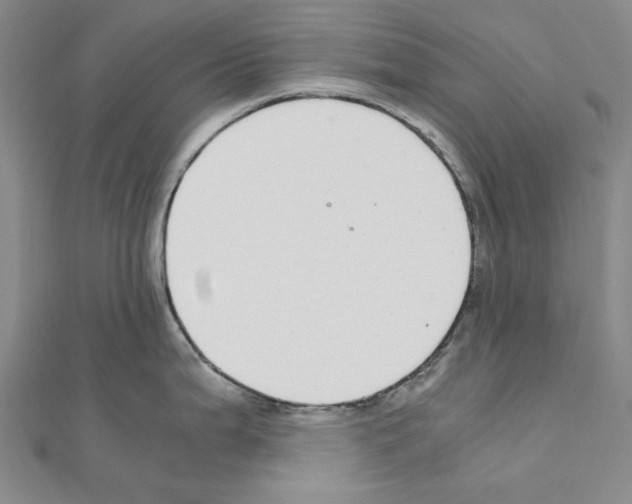 X0000111031199200908061429