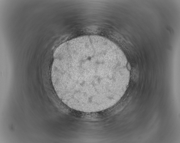 X0000111031201200908061428