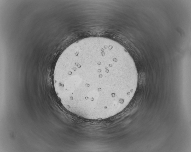 X0000111031202200908061428