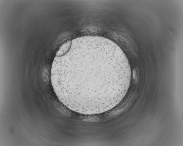 X0000111031203200908061428