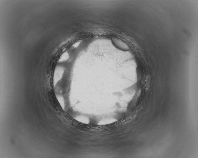 X0000111031205200908061428