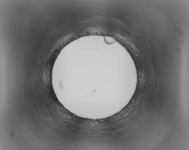 X0000111031207200908061428