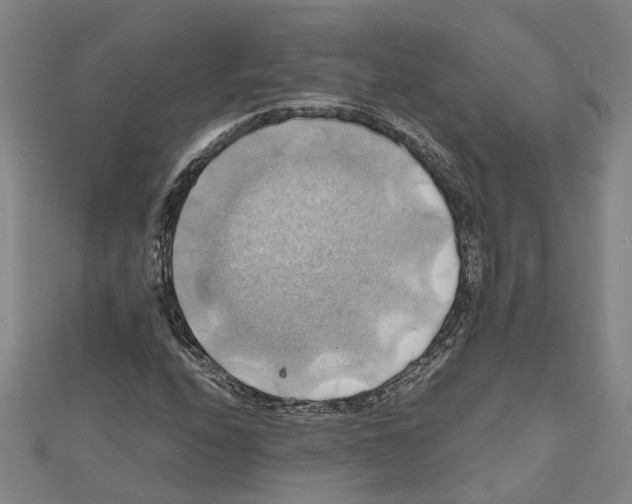 X0000111031208200908061428