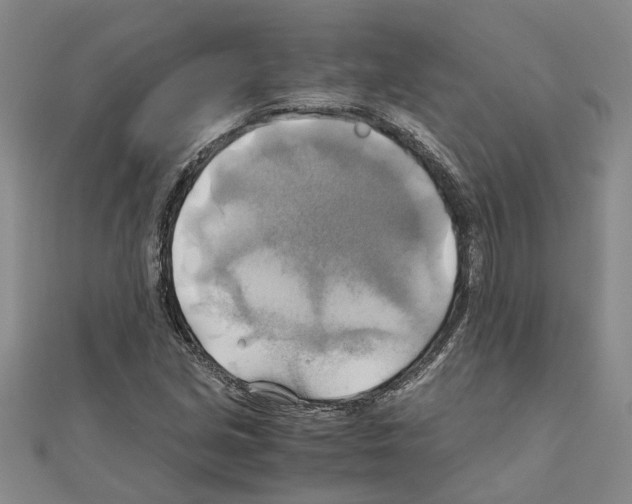 X0000111031213200908061428