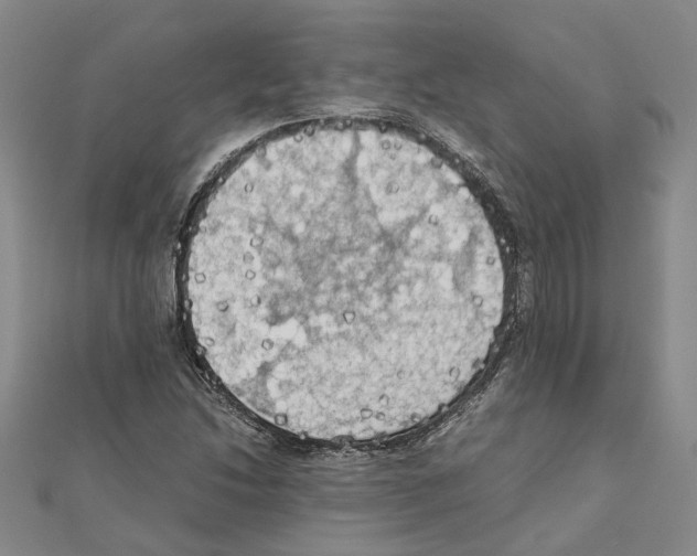 X0000111031214200908061428