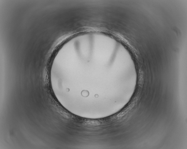 X0000111031215200908061428