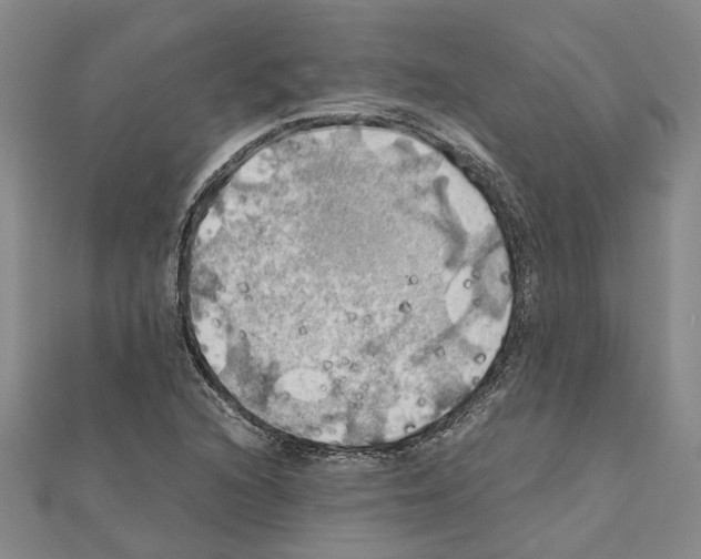 X0000111031216200908061428