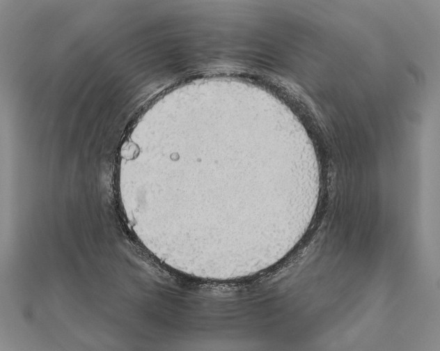 X0000111031217200908061428