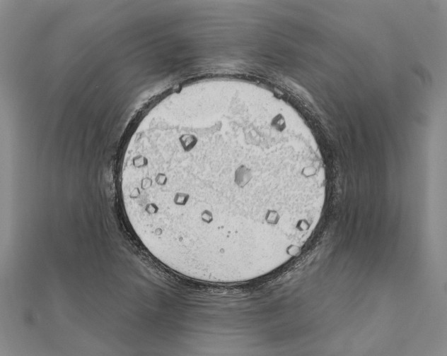 X0000111031218200908061428