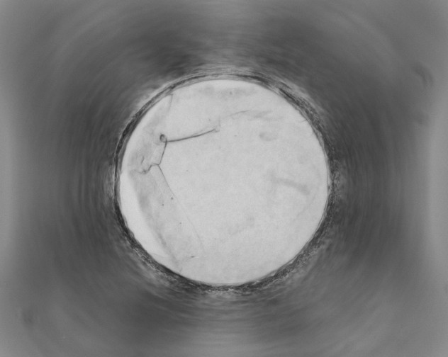 X0000111031220200908061428