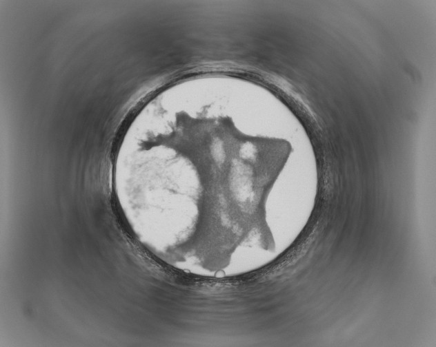 X0000111031221200908061428