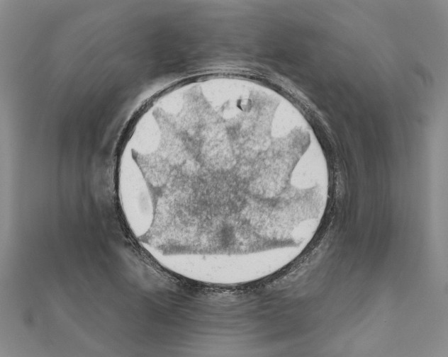 X0000111031222200908061429