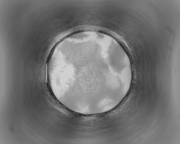 X0000111031223200908061429