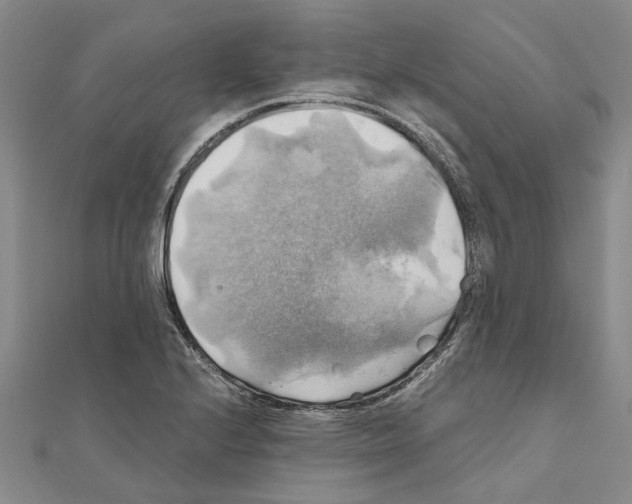 X0000111031224200908061429